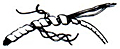 #605 - #608 Spiral Wrap (#605 Polyethylene, #606 Rulan White, #607 Nylon & #608 Teflon)